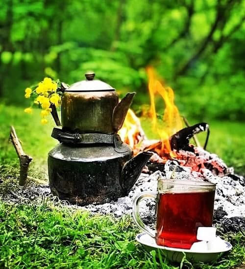 گالری تصویر نوین سعادت